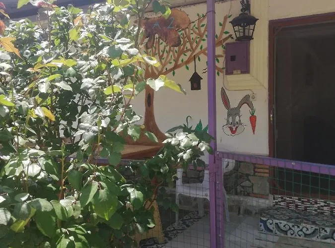 Ferienwohnung Olympos Turkuaz Apart Ve Camping Çıralı