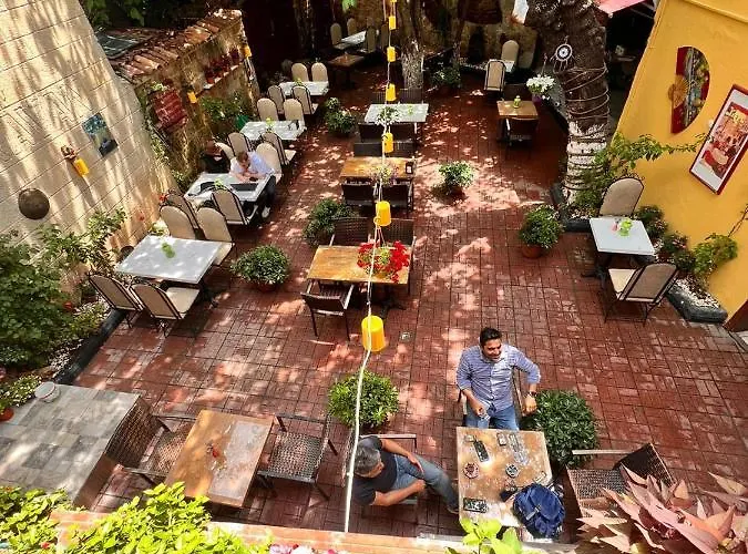 Sari Konak Antalia che accetta animali