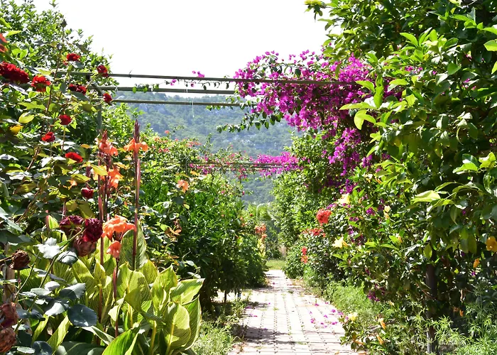 Lemon Garden Lodge Çıralı