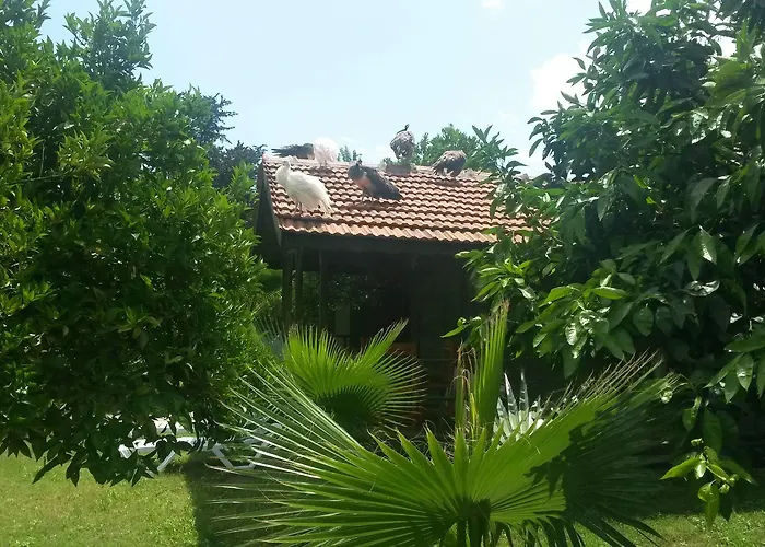 Hotel Yavuz Bungalow Çıralı