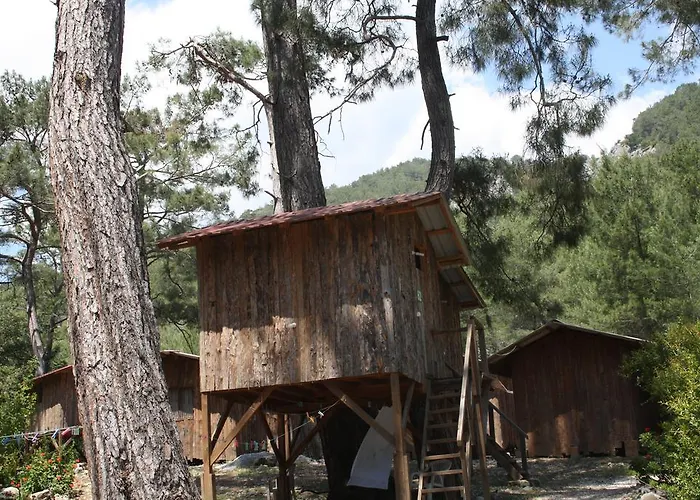 Saban Tree Houses Kumluca