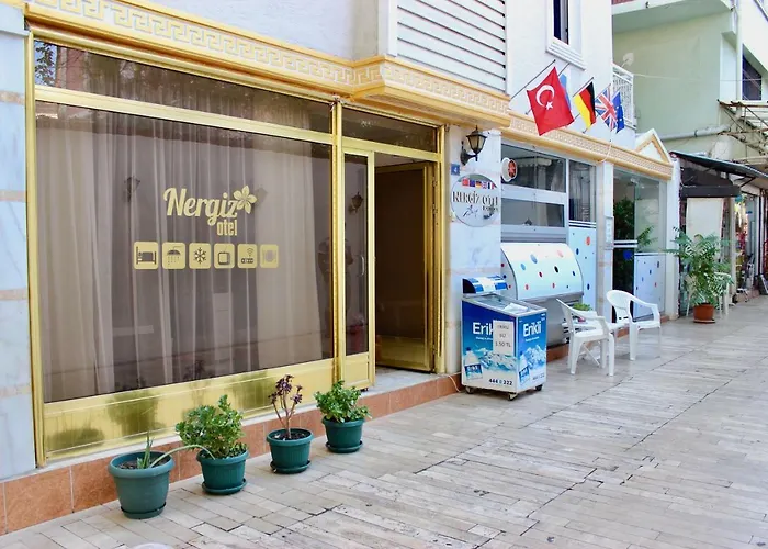 Nergiz Boutique Hotel Antalia che accetta animali